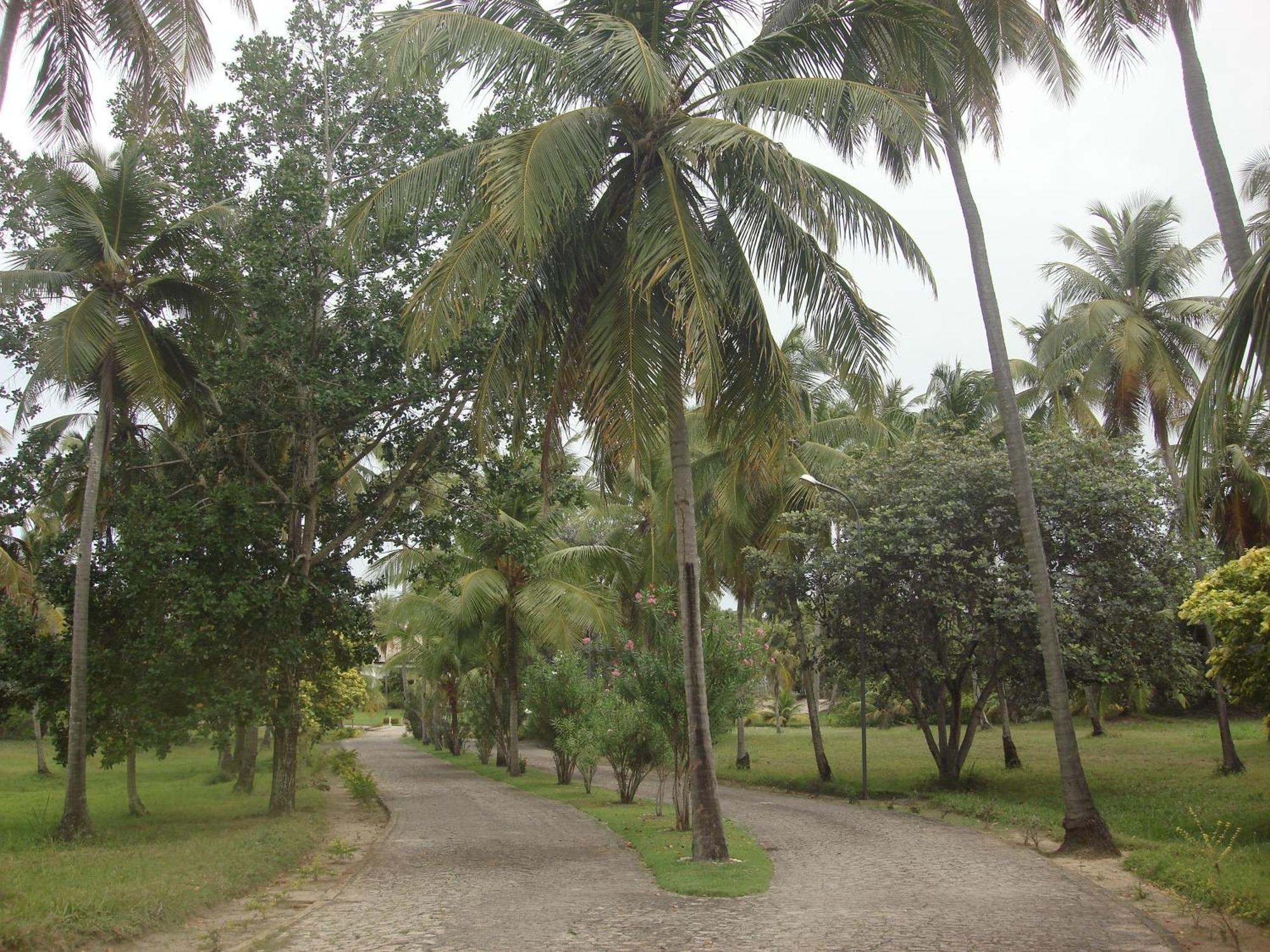 Hotel D'Anatureza Maceio  Bagian luar foto