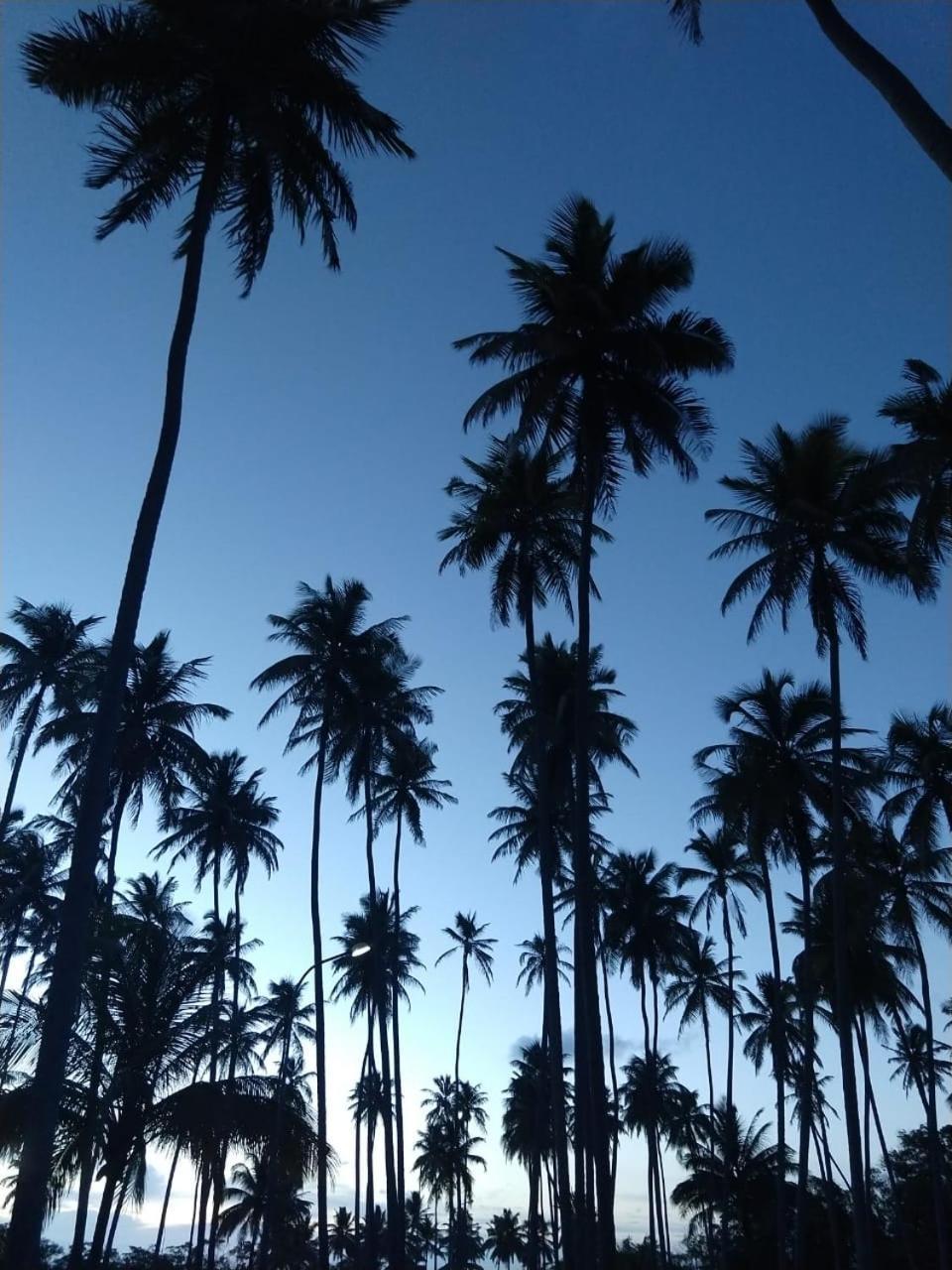 Hotel D'Anatureza Maceio  Bagian luar foto